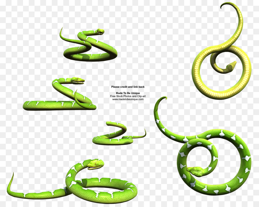 Cobra，A árvore Verde Python PNG