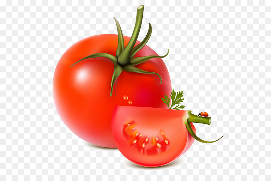Vegetal，Tomate PNG