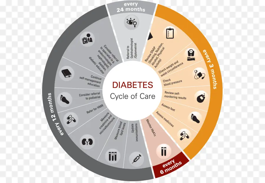 Ciclo Do Diabetes，Saúde PNG