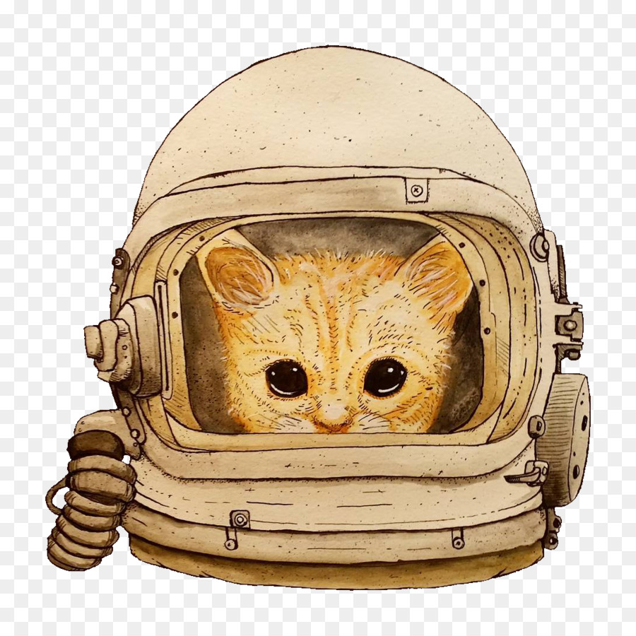 Gato Em Traje Espacial，Capacete PNG