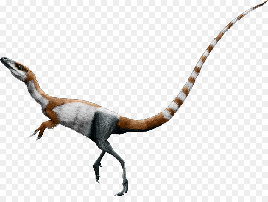 Dinossauro，Pré Histórico PNG