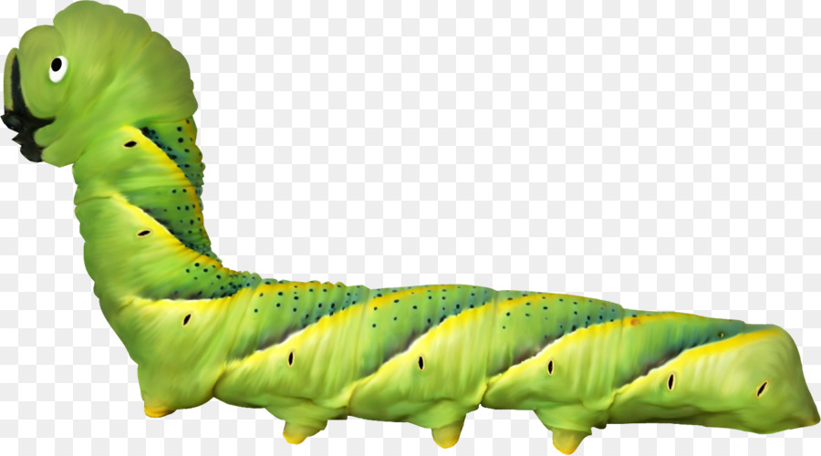 Caterpillar，Cor PNG