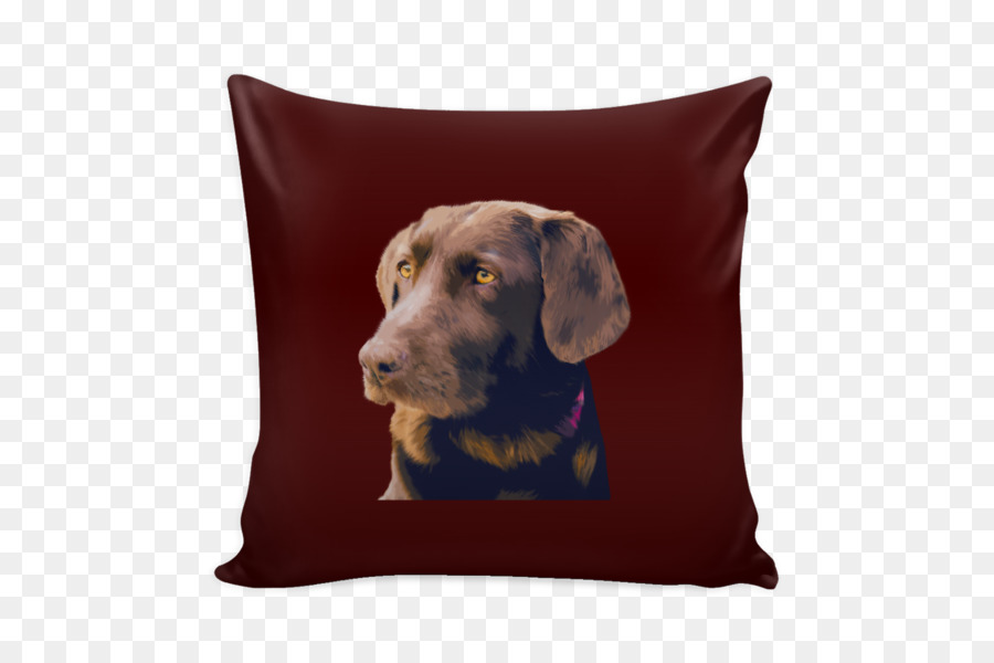 Labrador Retriever，Retriever PNG