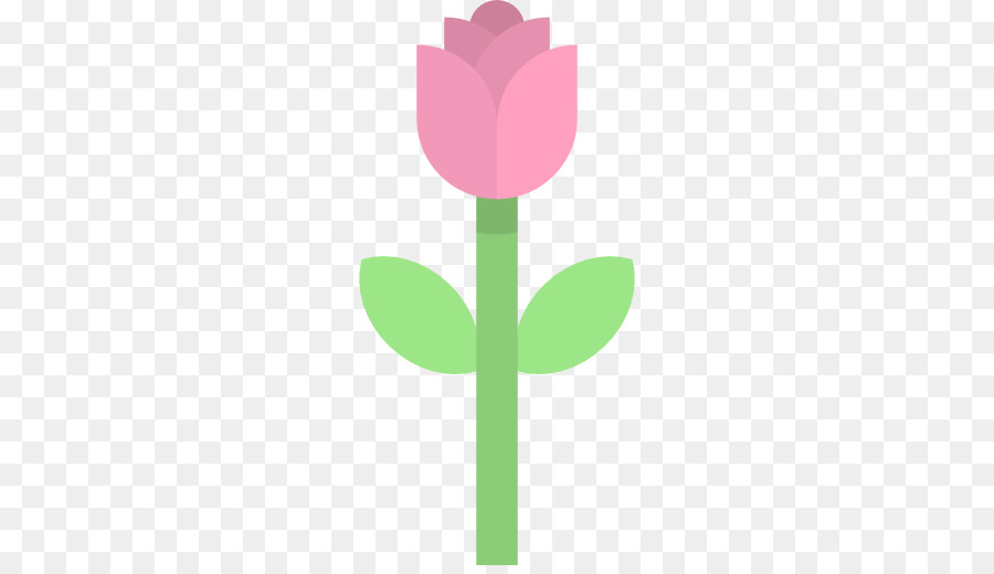 Tulipa Rosa，Florescer PNG