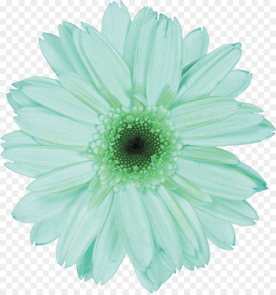 Flor，Azul PNG