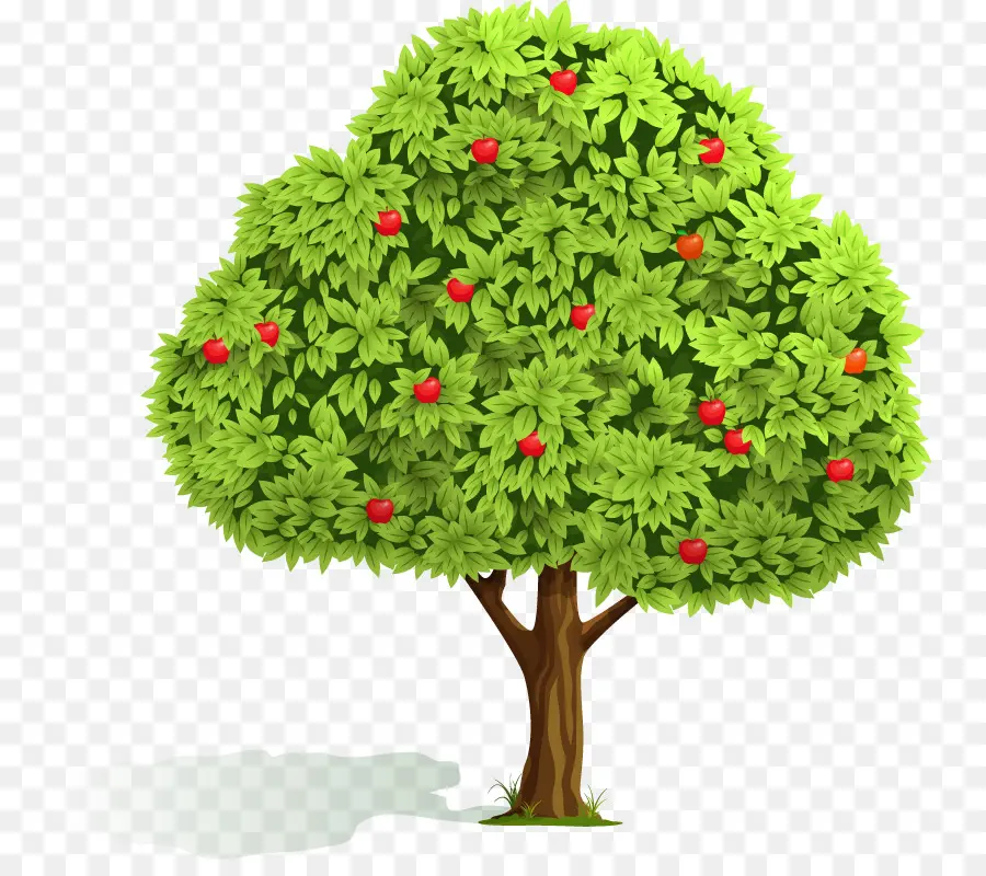 Apple，árvore De Fruto PNG