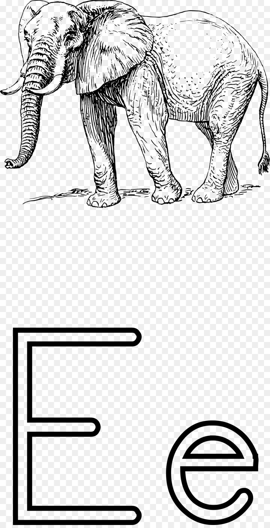 Elefante，Desenho PNG