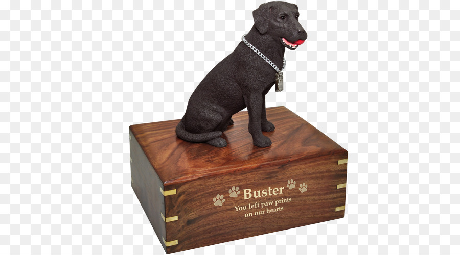 Labrador Retriever，Filhote De Cachorro PNG