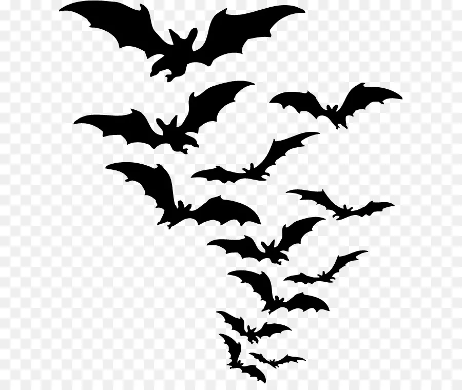 Bat，Morcegos De Críquete PNG