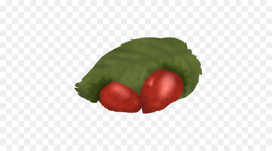 Vegetal，Folha PNG