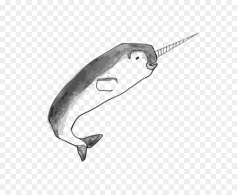 Narwhal，Baleias Dentadas PNG