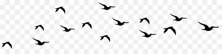 Aves，Voo PNG