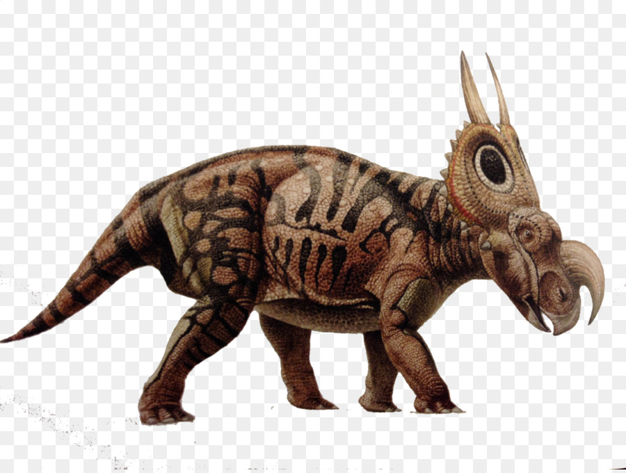 Tiranossauro，Diabloceratops PNG