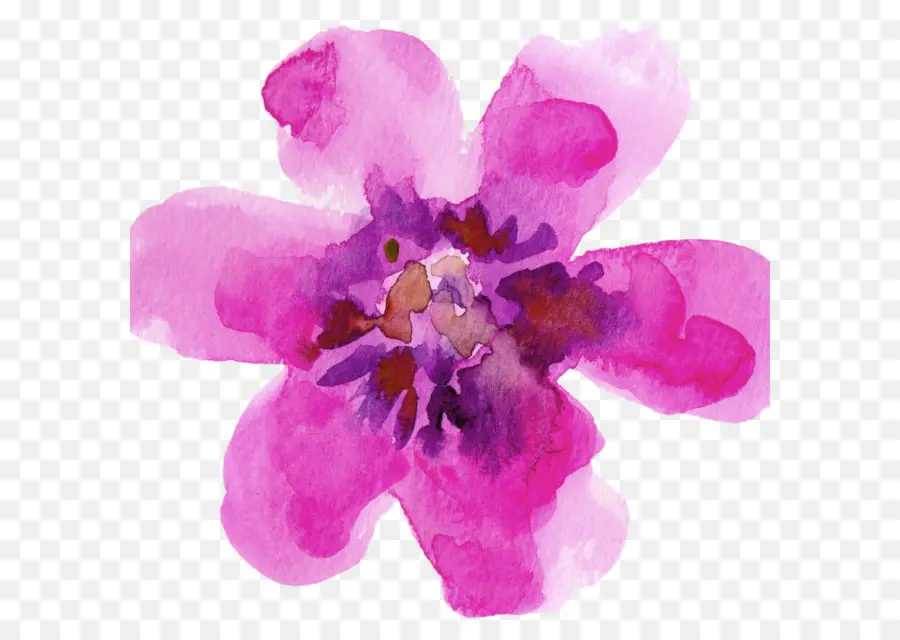 Flor Rosa，Aquarela PNG