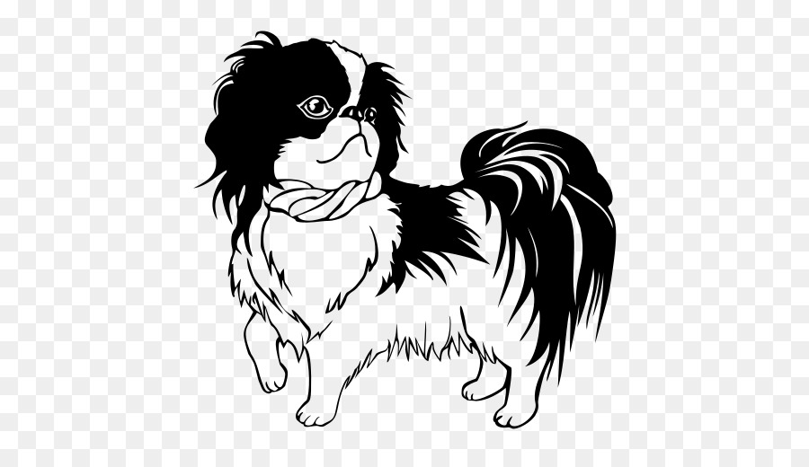 Shih Tzu，Japonês Queixo PNG