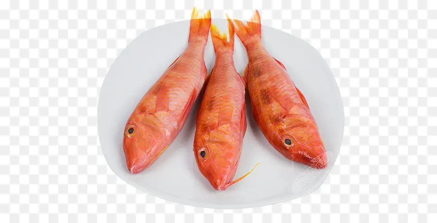 Peixe，Salmonete PNG