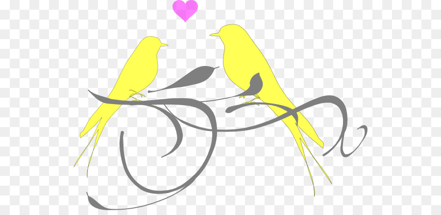 Lovebird，Aves PNG