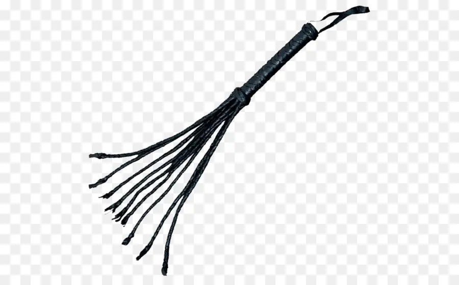 Cat O Nine Tails，Chicote PNG