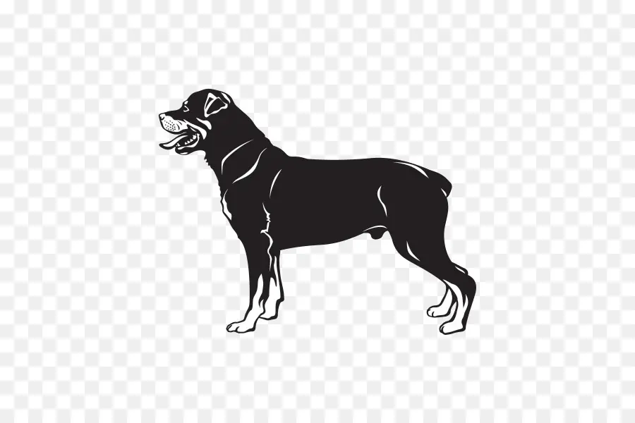 Rottweiler，Boxer PNG