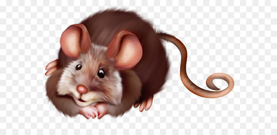 Rato Fofo，Roedor PNG