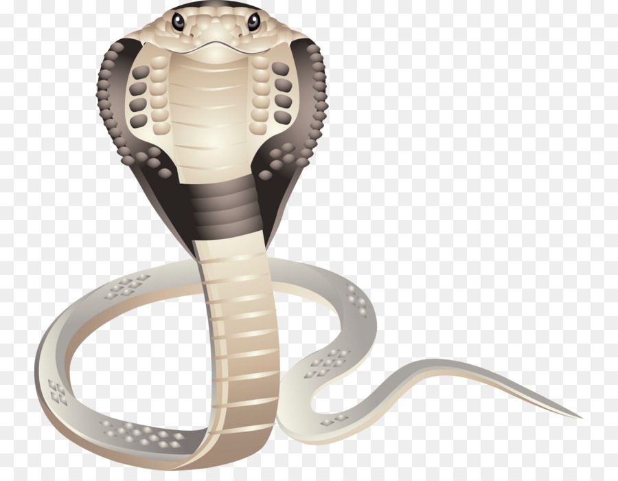 Cobra，Réptil PNG