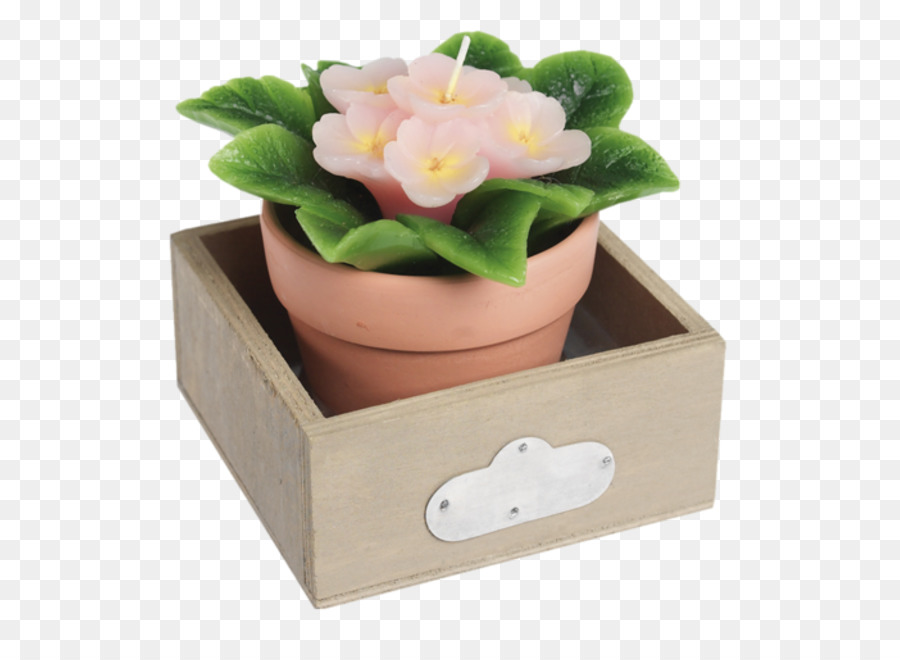 Flor，Flowerpot PNG