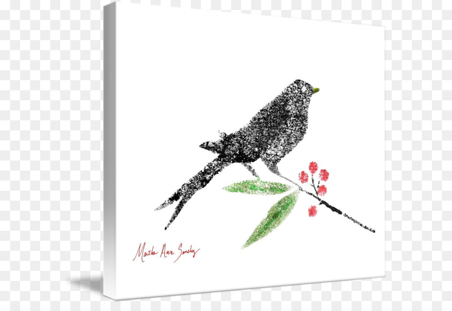 Aves，Berry PNG