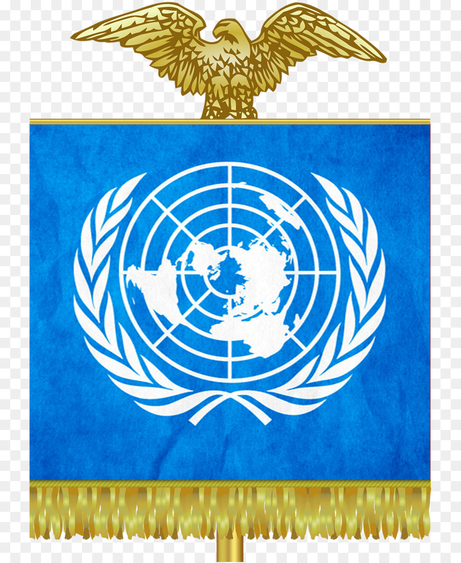 Escritório Das Nações Unidas Em Genebra，Nações Unidas PNG