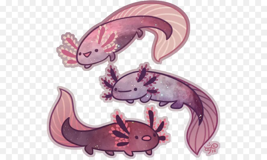 Axolotl，Salamandra PNG