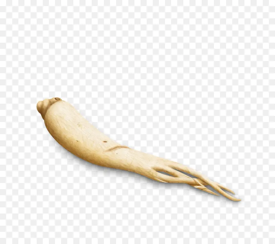 Raiz De Ginseng，Erva PNG