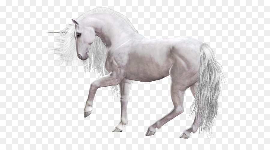 Unicórnio Branco，Fantasia PNG