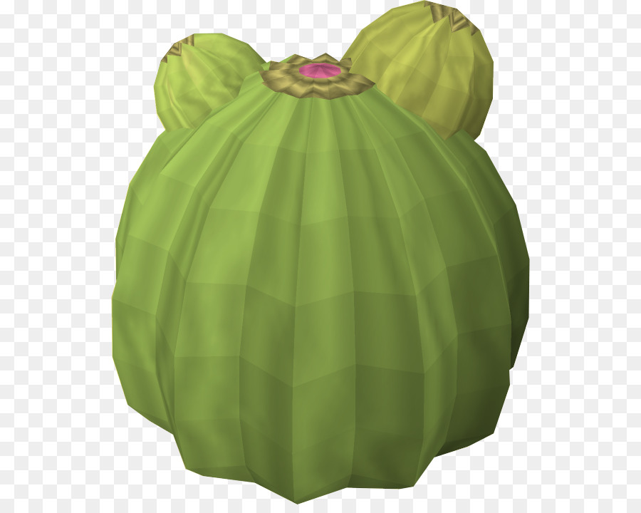 Cactaceae，Runescape PNG