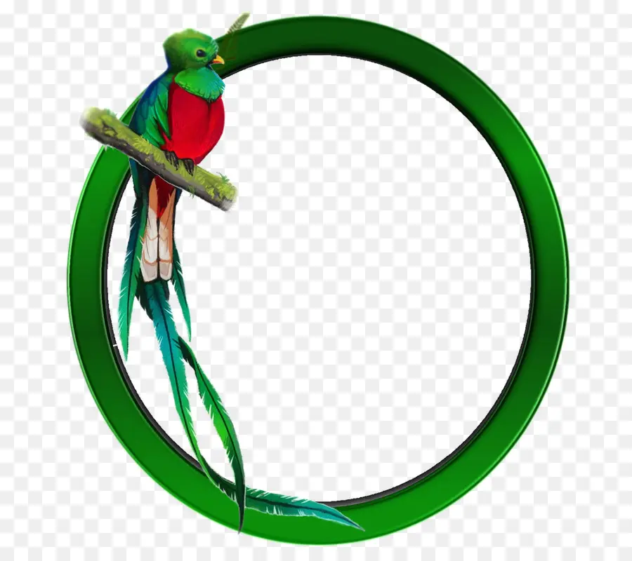 Pássaro Quetzal，Colorido PNG