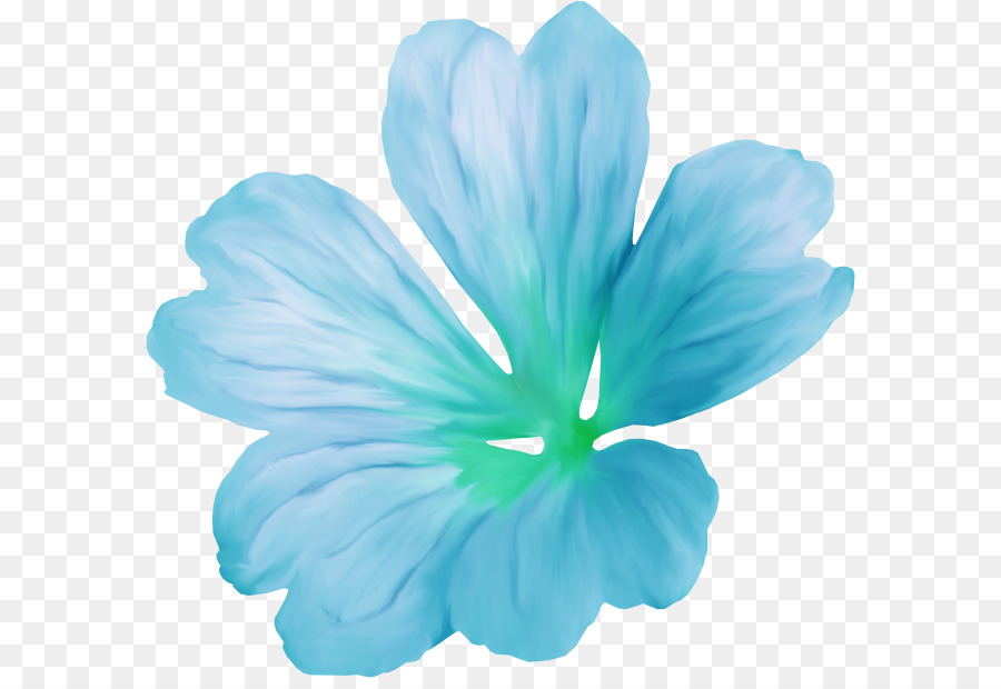 Flores De Pluméria，Florescer PNG