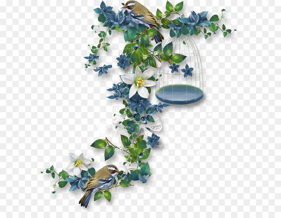 Aves，Ideia PNG