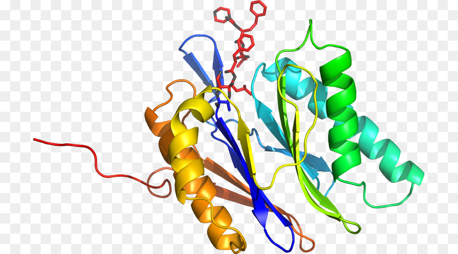 Estrutura Proteica Colorida，Proteína PNG