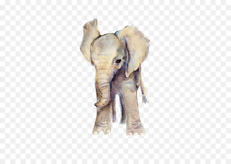 Elefante Africano，Pintura Em Aquarela PNG