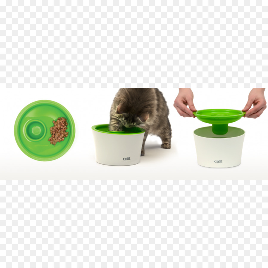 Gato，Comida De Gato PNG