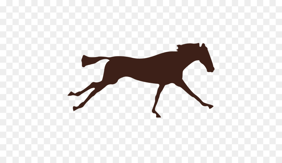 Cavalo，Correndo PNG