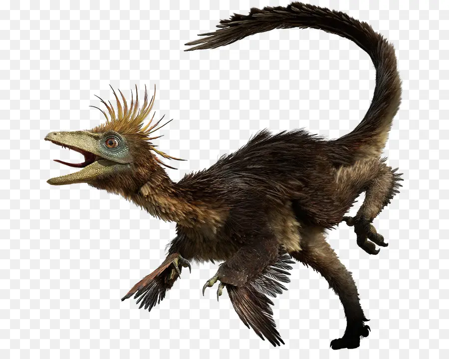 Dinossauro Emplumado，Pré Histórico PNG