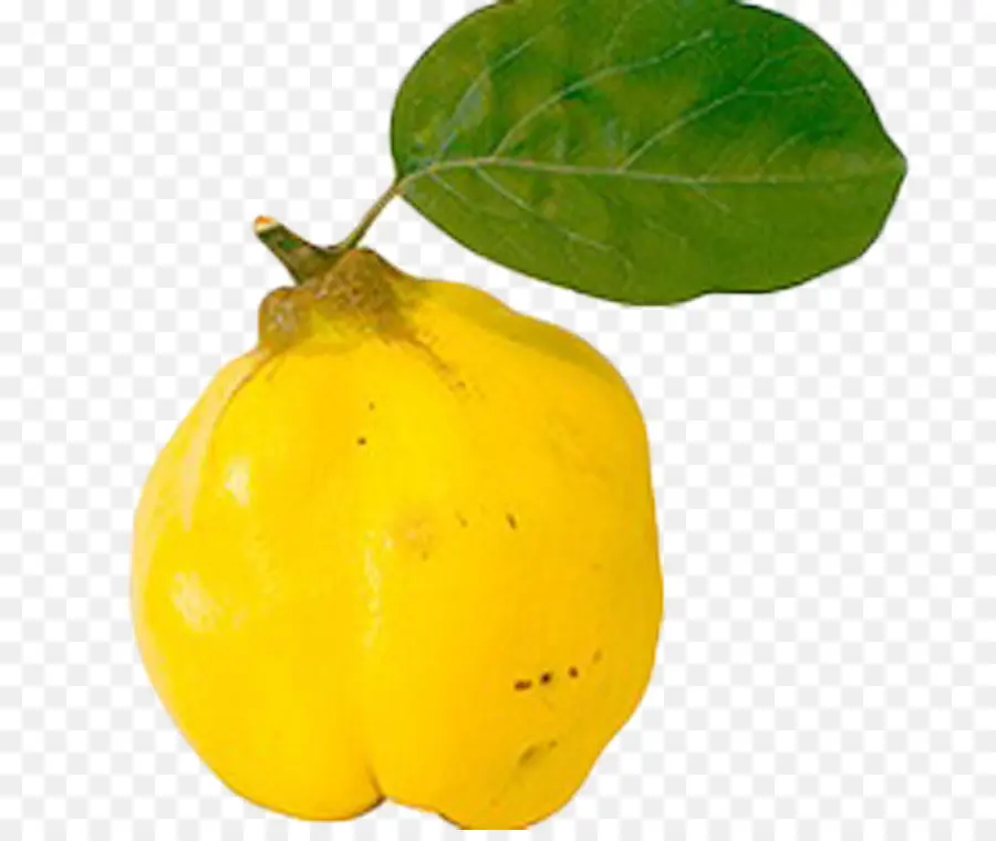 Quince，Frutas Marmelo PNG