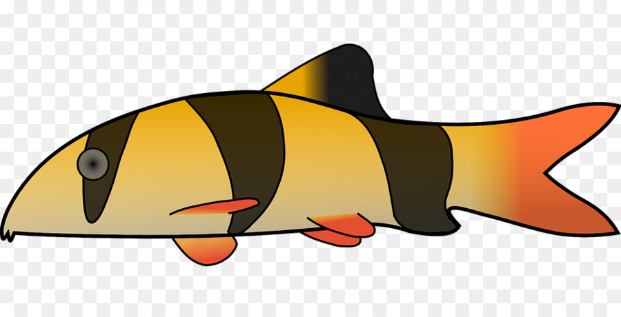 Peixe，Download PNG