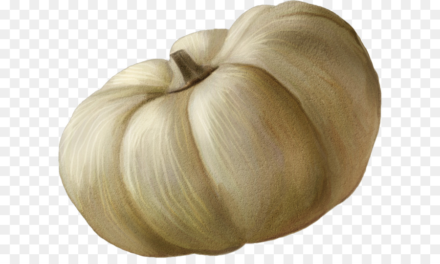 Vegetal，Alho PNG