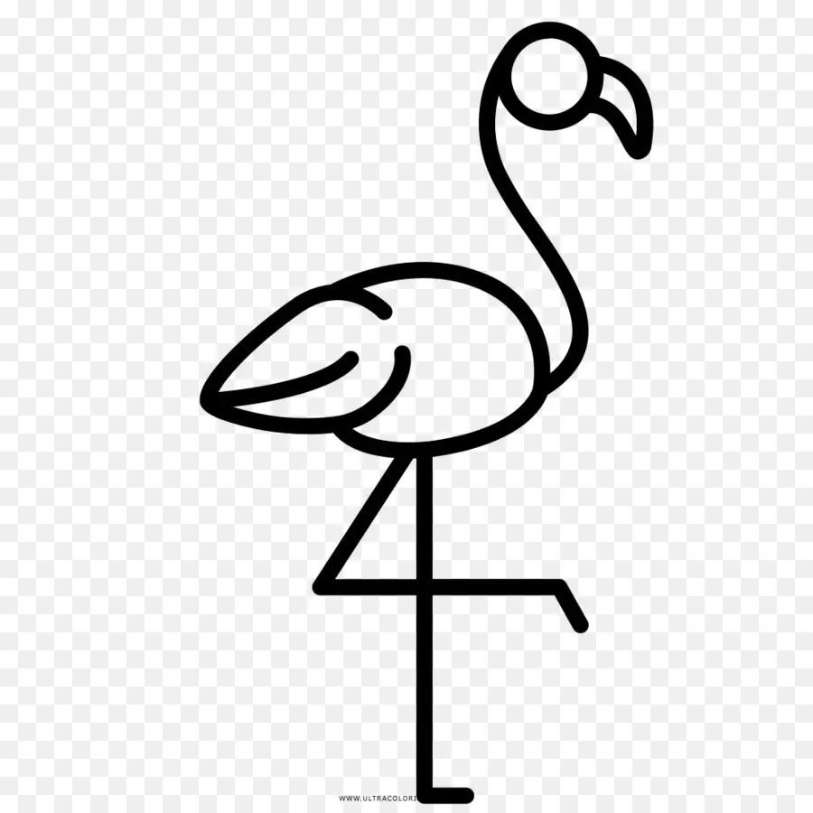 Flamingo，Pássaro PNG