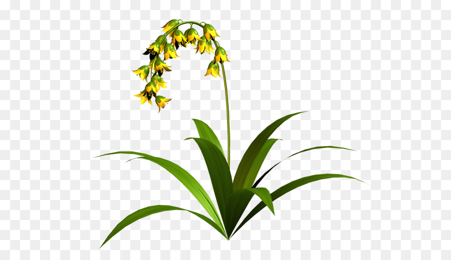 Flores Roxas，Folhas Verdes PNG