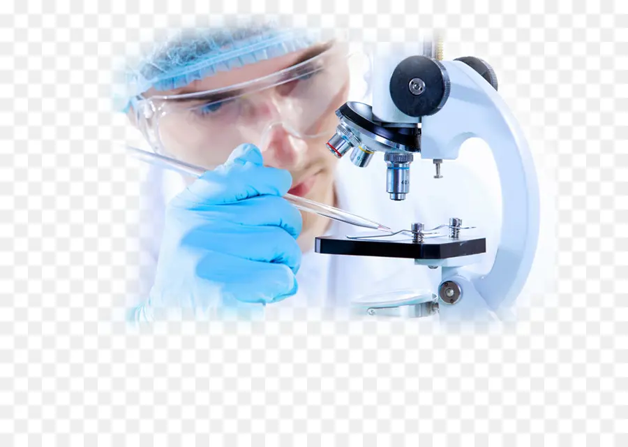 Laboratório，O Diagnóstico Médico PNG