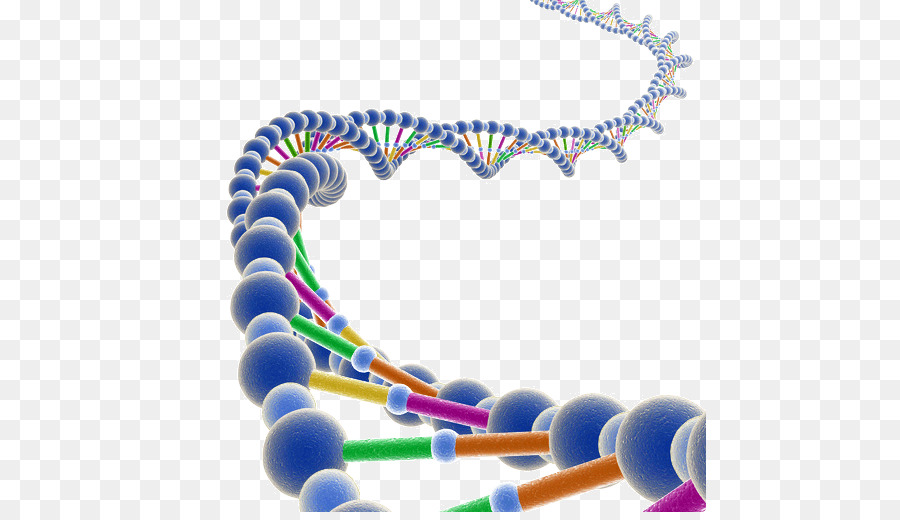 Днк на прозрачном фоне