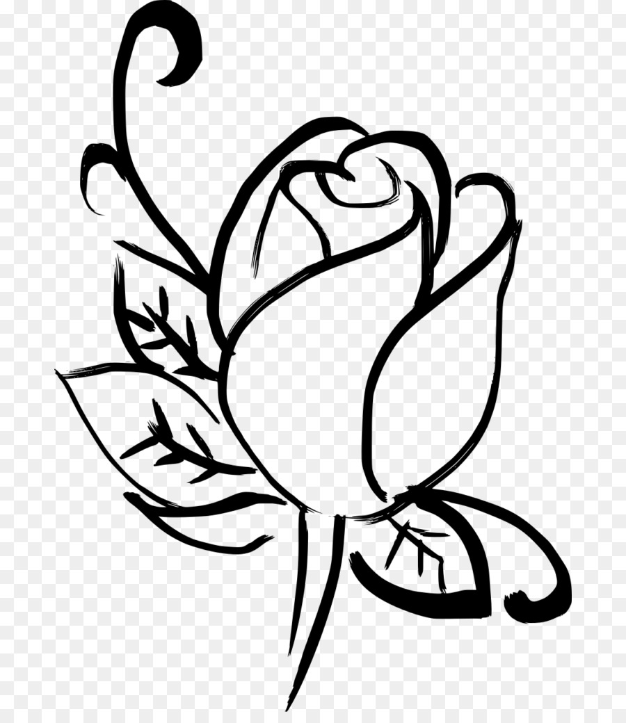 Flor，Florescer PNG