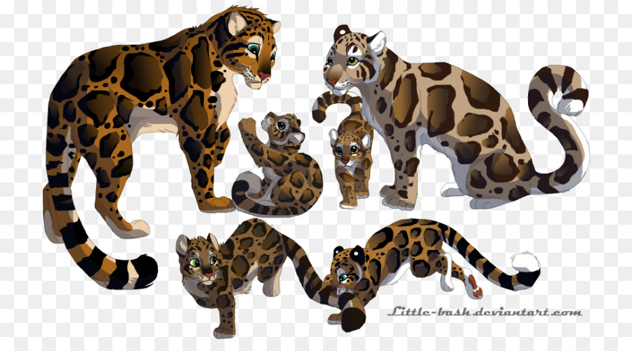 Leopardos，Família PNG