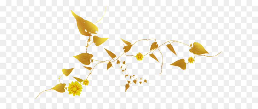 Amarelo，Desenho PNG